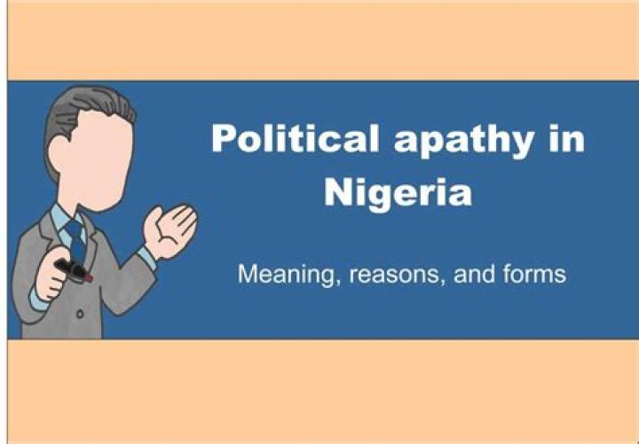 Top 10 reasons for political apathy in Nigeria explained
