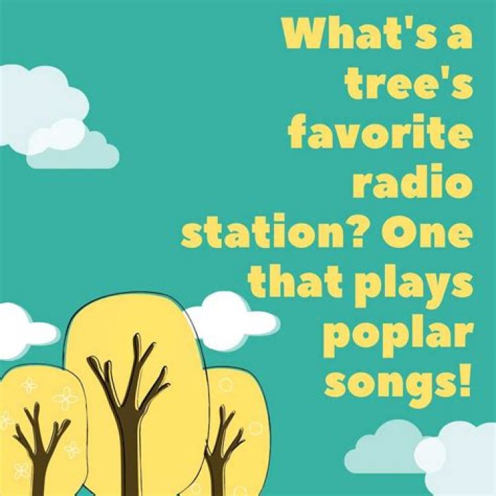 100+ tree puns that will make you poplar among your friends