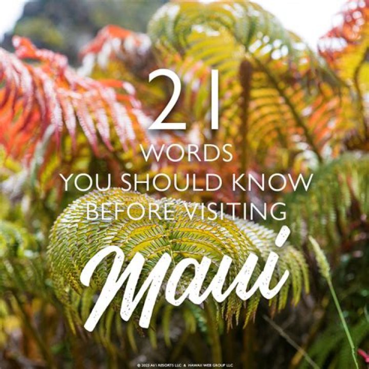 50+ interesting Hawaiian last names/surnames and their meanings