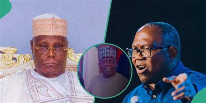 Supreme Court Moved Up Verdict to Protect Tinubu From Release of FBI Files? PDP Chieftain Speaks