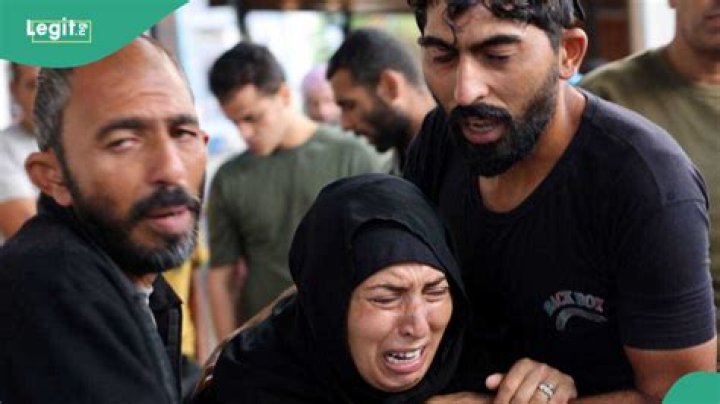 War: Hamas Fighters Surrendered to Israeli Forces? Fact Emerges