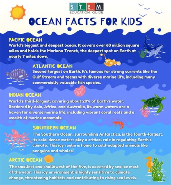 10 fascinating facts about the ocean for kids and adults