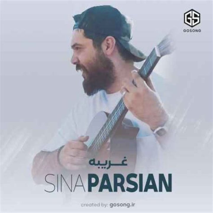 Sina Parsian Popular Songs | Popnable