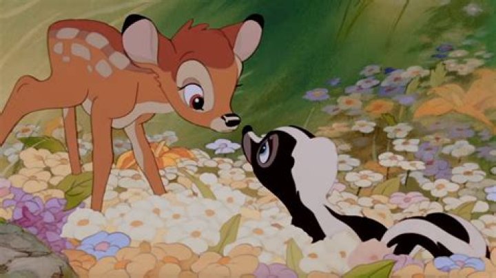 Bambi by Clairo from USA