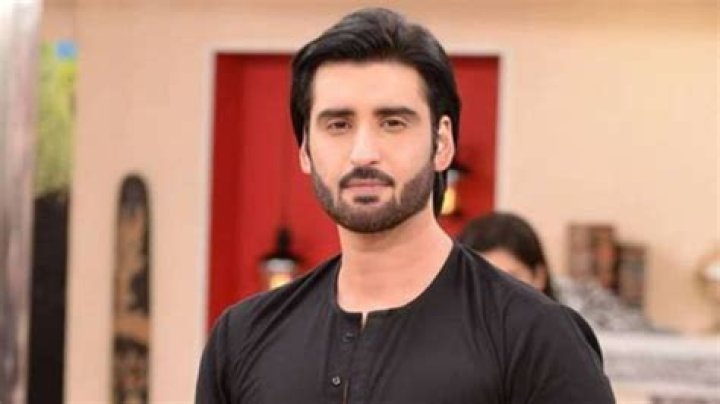 Agha Ali – Biography, Facts & Life Story