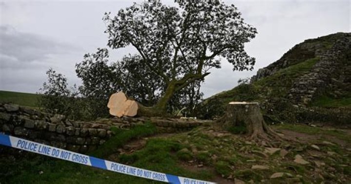 Ces 5 couples de stars tunisiennes qui ont marqué l'année