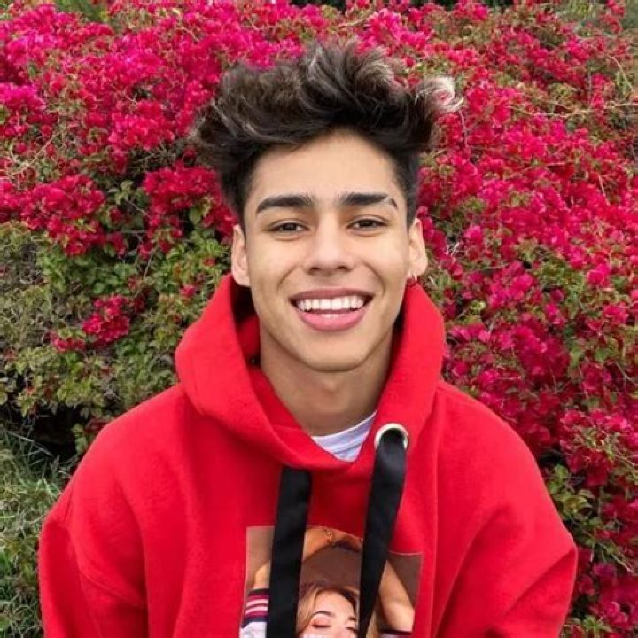 Andrew Davila Phone Number Texting Number Contact Number Mobile