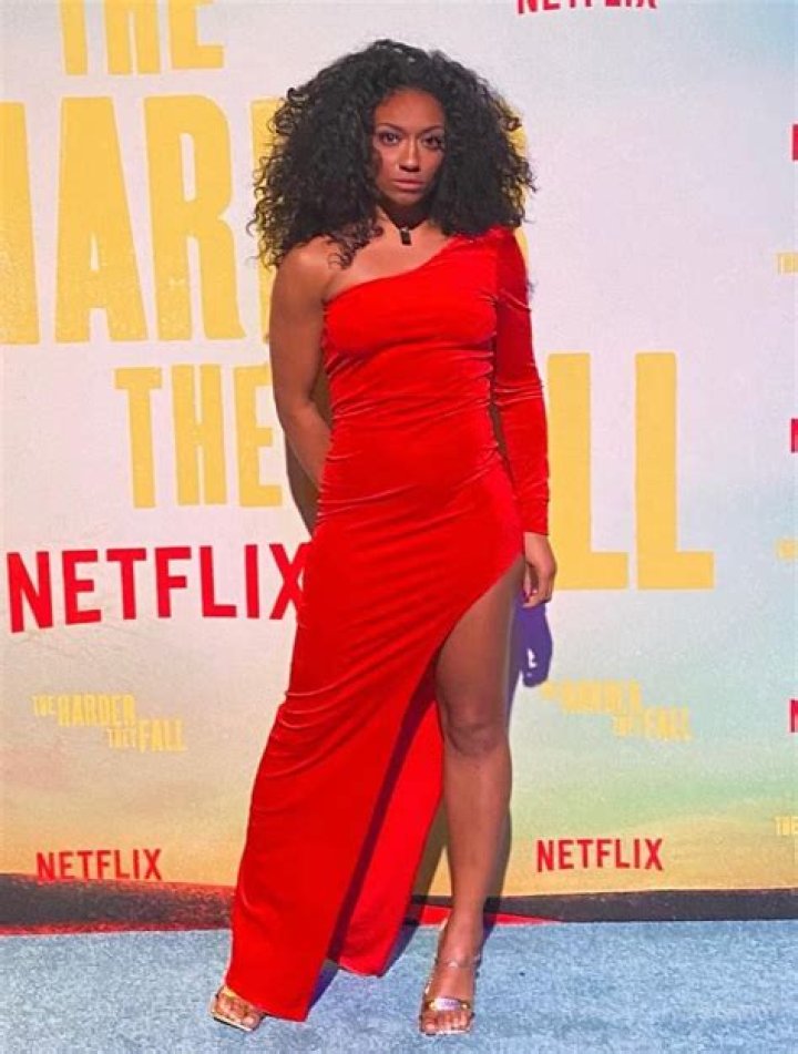 Andria B Langston Biography, Facts & Life Story