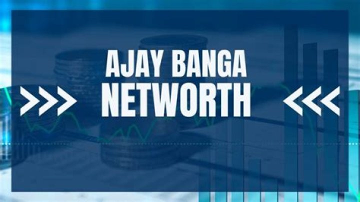 Banga Net Worth
