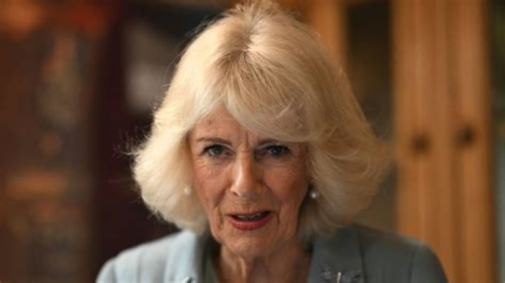 Camila Bradford Periodista Biografia Wikipedia: Familia