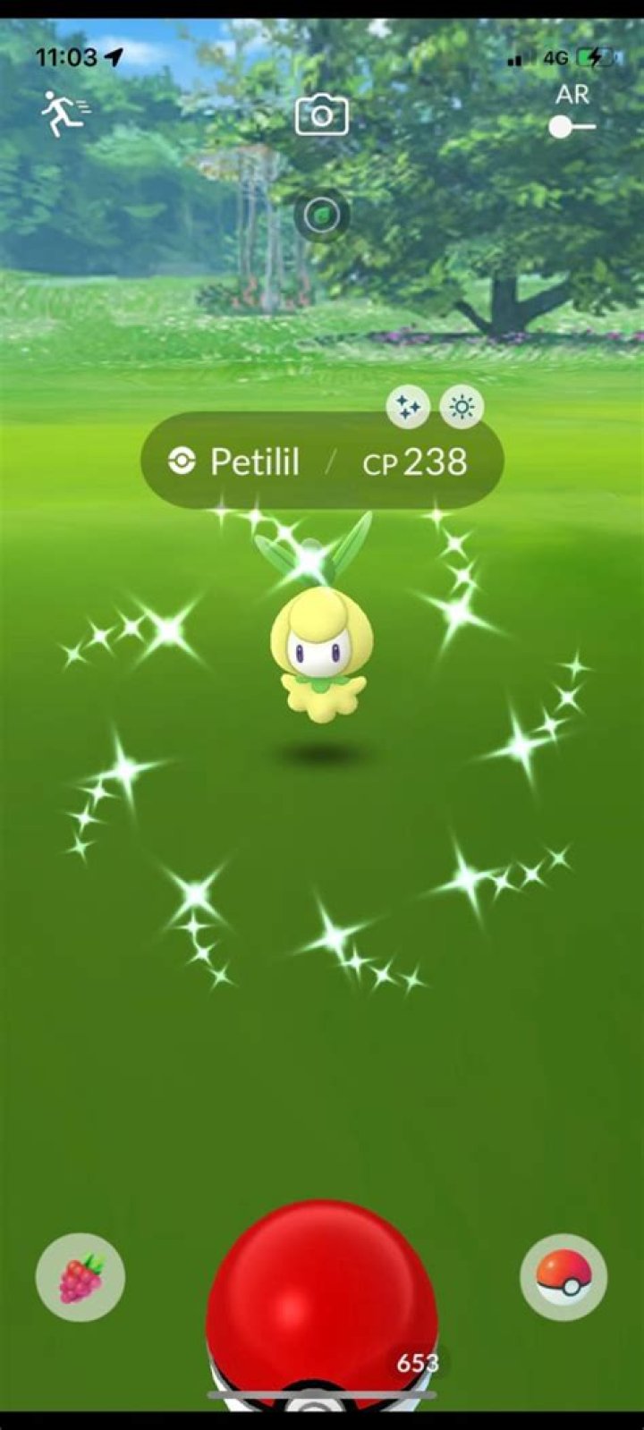 Can Petilil Be Shiny in 'Pokémon GO'? They Have a Spotlight Hour in the Game This Week