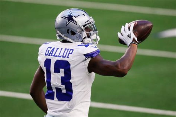 Who Are Michael Gallup Parents?