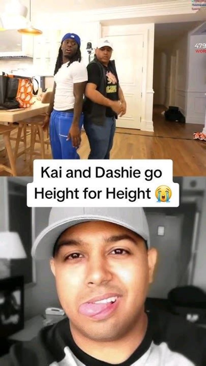 Dashie Height