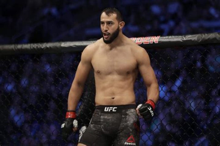 Dominick Reyes Biography, Facts & Life Story