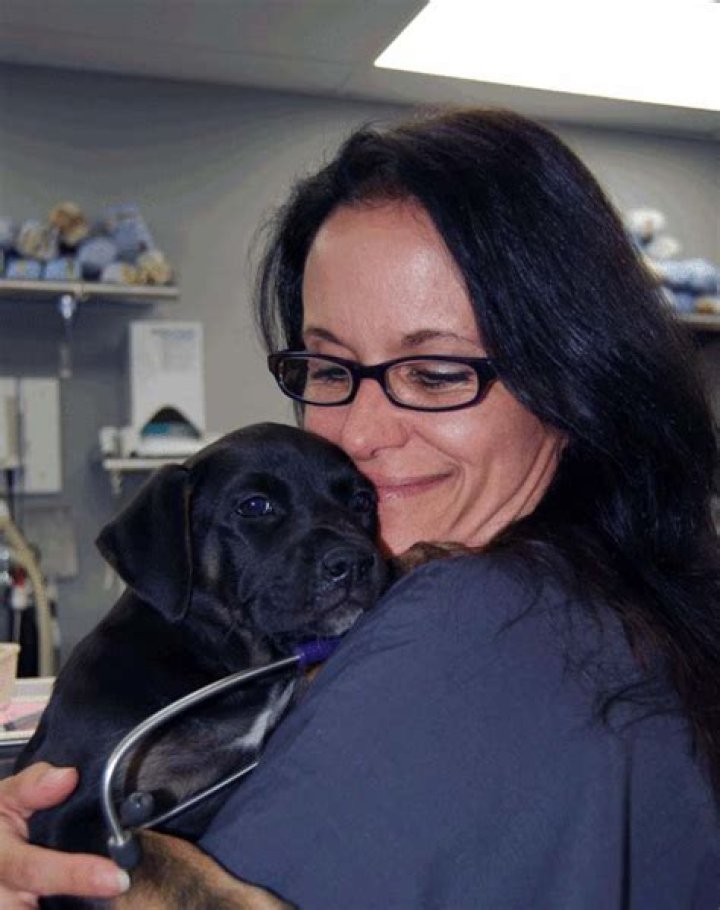 Dr. Jeff: Rocky Mountain Vet cast Archives