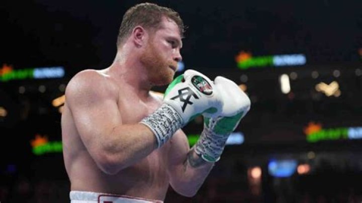 Emily Cinnamon Alvarez- Daughter of Canelo Alvarez