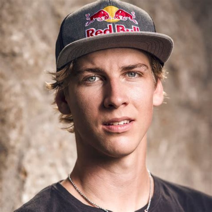 Fabio Wibmer Net Worth