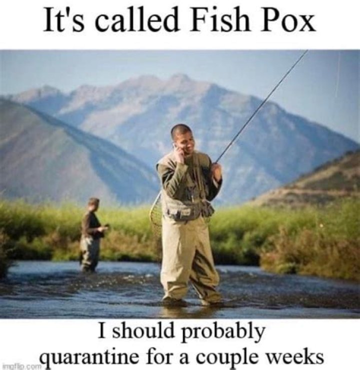 Fishing memes to share the laughter with your friends