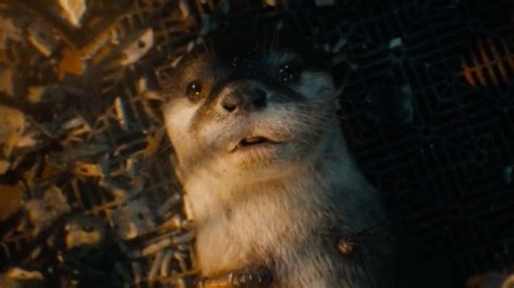 'Guardians of the Galaxy Vol. 3' Introduces Friends From Rocket's Past