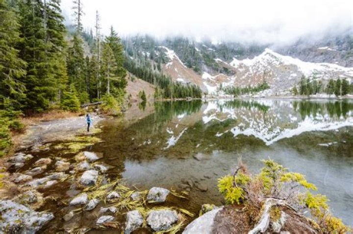 Heather Lake Fox 5, Bio, Wiki, Age, Height, Husband, Salary, and Net Worth