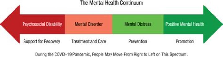 Is Rich Lowry Sick In 2024? Health And Illness