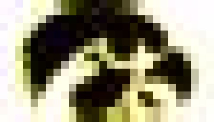 Louisiana-Monroe Warhawks Depth Chart 2023