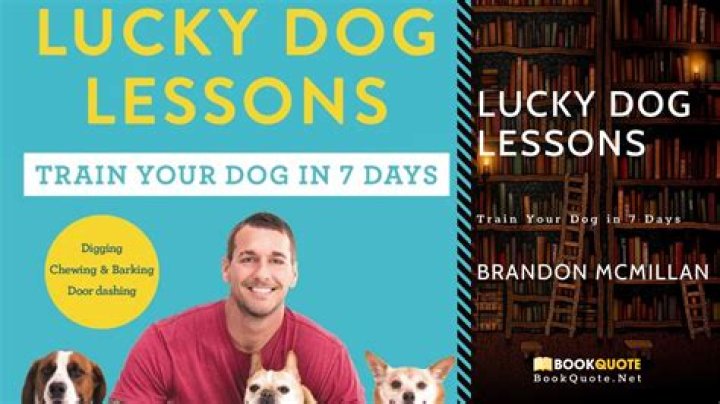 'I’m Doing Things My Way:' Former 'Lucky Dog' Host Brandon McMillan Is Back with a New YouTube Show