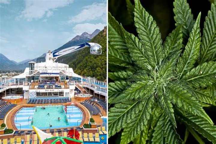 "We're Going to Make the Best of It" — Man Is Kicked off Cruise for Medical Marijuana
