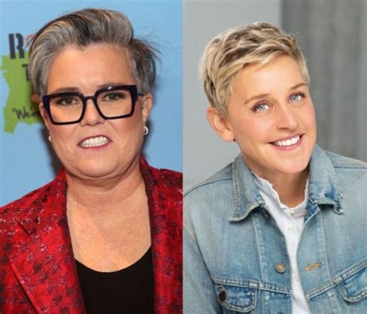 Comedian Offered Donations for Every Mean Story About Ellen DeGeneres, and People Delivered