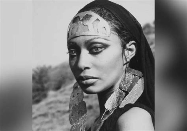 Meet Luigi Cazzaniga, Donyale Luna Husband: Relationship