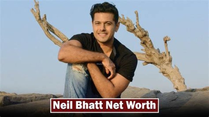 Neil Bhatt Net Worth 2024