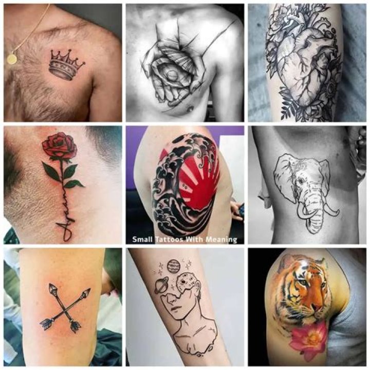 How Many Does He Have? Meanings And Designs