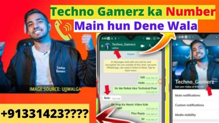 Techno Gamerz Ujjwal Phone Number, WhatsApp Number Contact Mobile