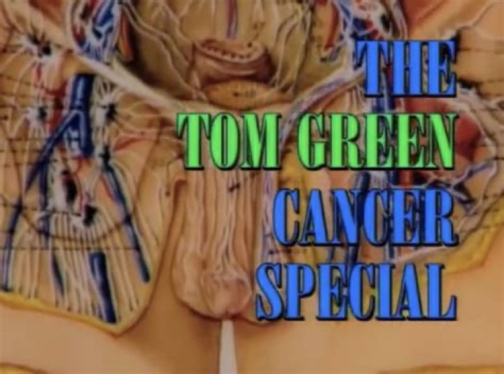 What Happened to Tom Green? His Life after Cancer Diagnosis