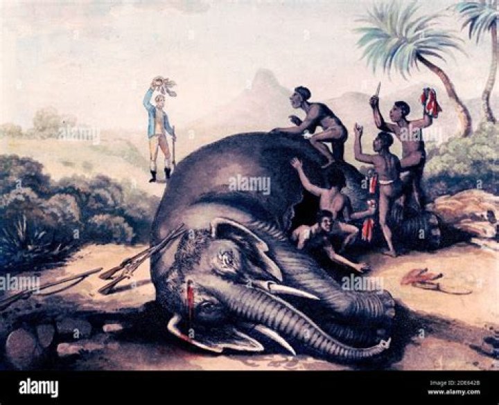 Was Ahmed The Elephant Killed? Death And Wikipedia