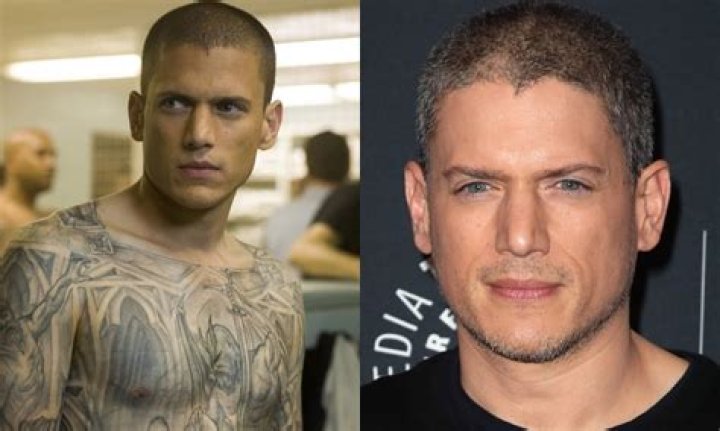 Yes, Wentworth Miller Is Gay And Was Dating Luke Macfarlane, Relationship Timeline