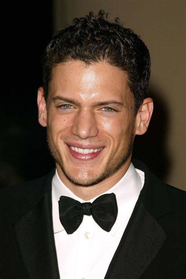 Wentworth Miller – Biography, Facts & Life Story