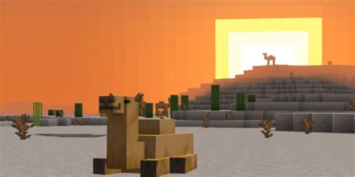 The Camels in 'Minecraft' Only Eat One Thing — How to Feed Them